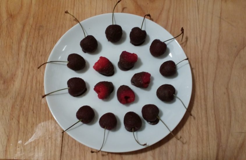 Fruit + Chocolate – Chemicals By: Kasey Phillips