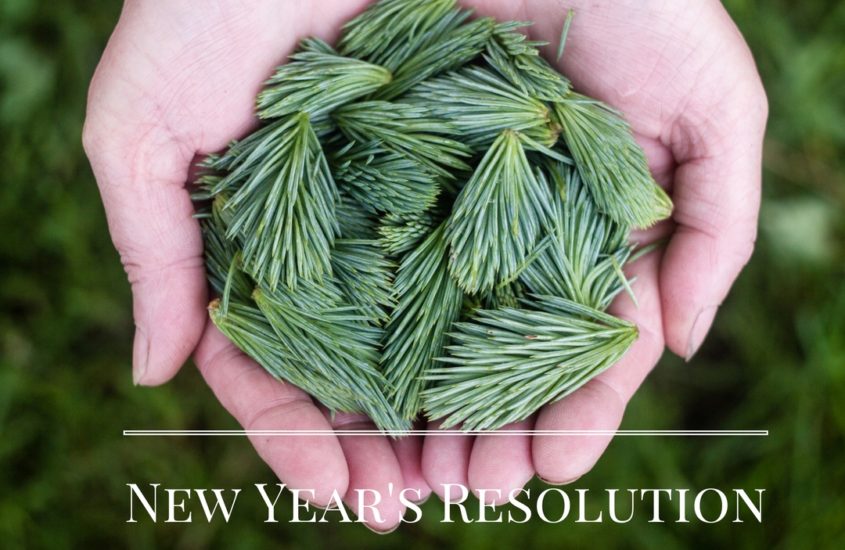 How To Give Back This Year (New Year’s Resolution)